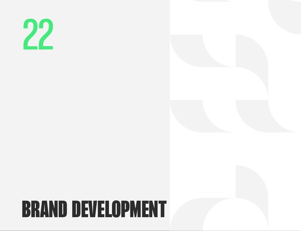 Discover the art of brand development with Fluid22.