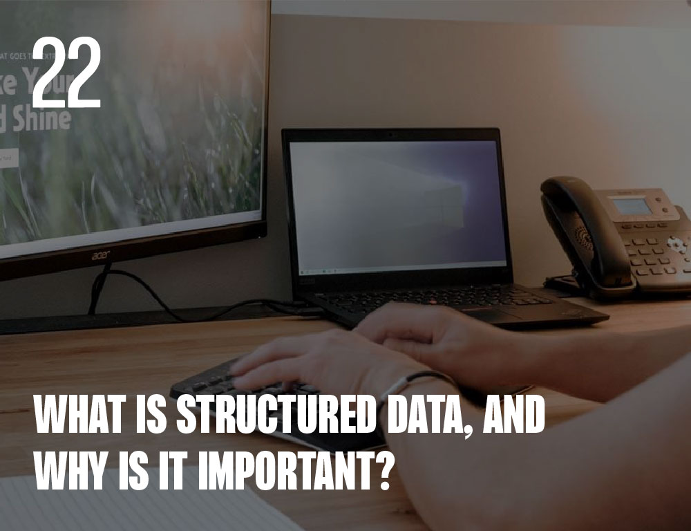 A Dive into the Digital Unknown: Structured Data Decoded
